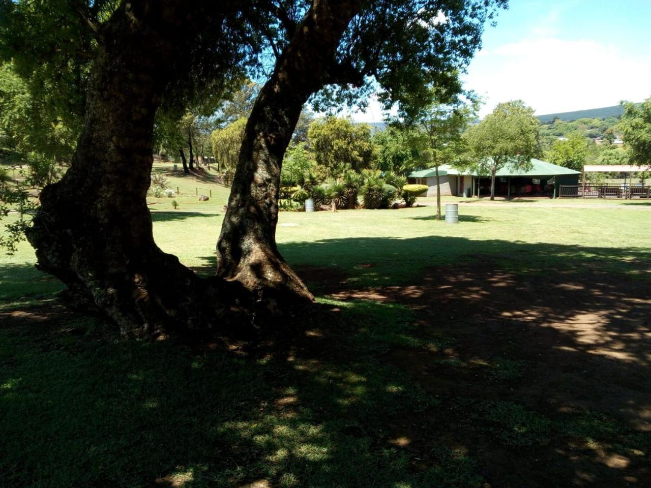 Sabie River Camp Bagian luar foto